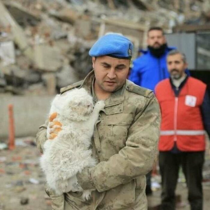 Soldier wearing a blue beret gently holding one of the cutest cats ever to melt your heart in a disaster area.