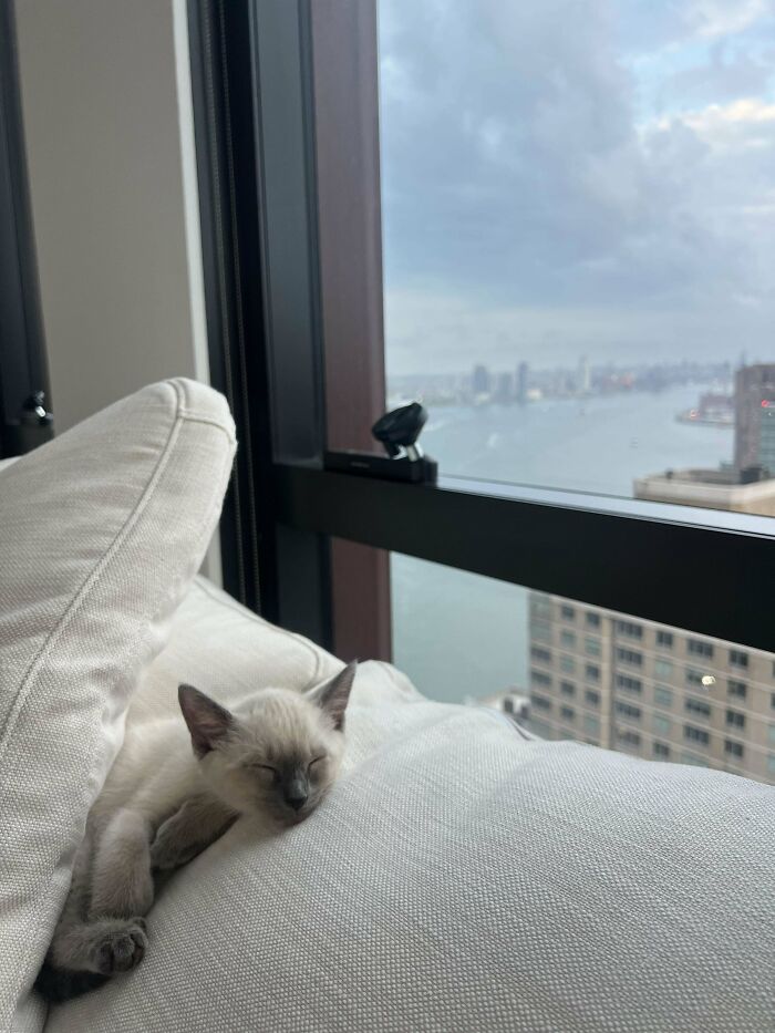 7 días junto a Handsome. ¡Han sido los mejores 7 días de mi vida!