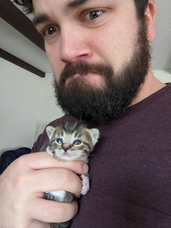 Man gently holding one of the cutest cats, a tiny tabby kitten with blue eyes, close to his chest indoors.