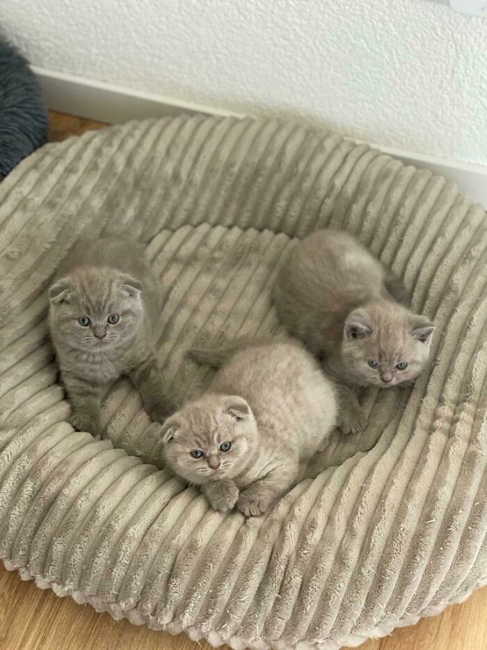 Shhhh...if We Don't Move, They'll Never Know We Were Here