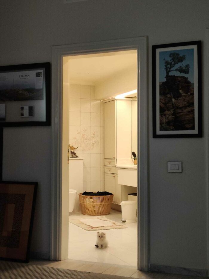 My Sister Dropped This Little Criminal On My Doorstep Yesterday