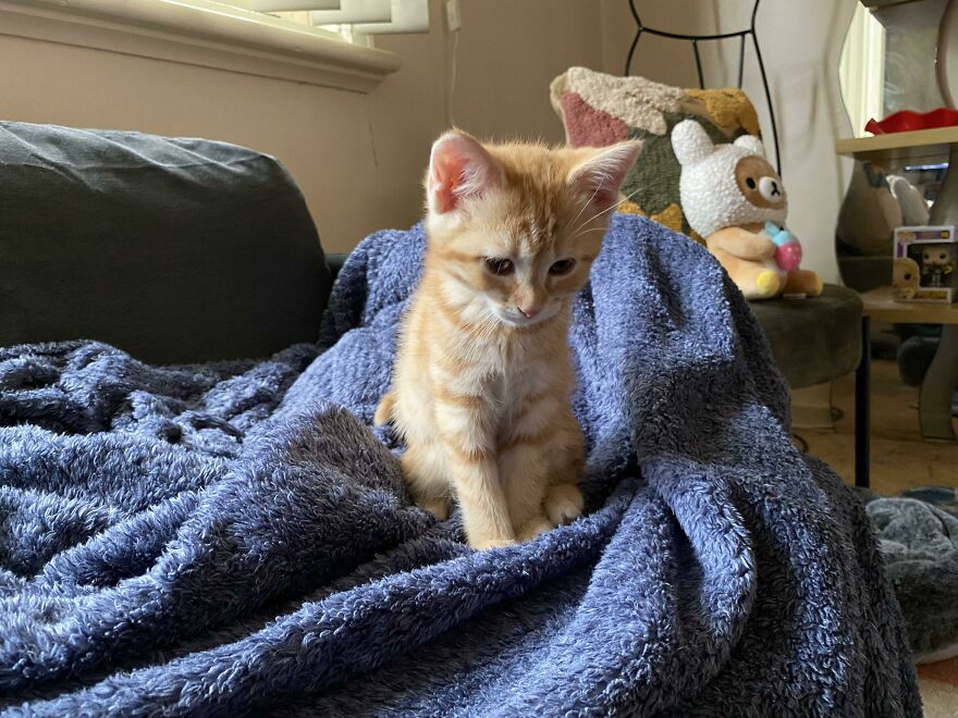 Our Pumpkin Just After We Got Her!