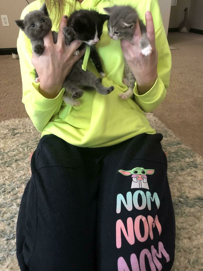 Person in bright yellow hoodie holding three adorable kittens, showcasing some of the cutest cats ever to melt your heart.