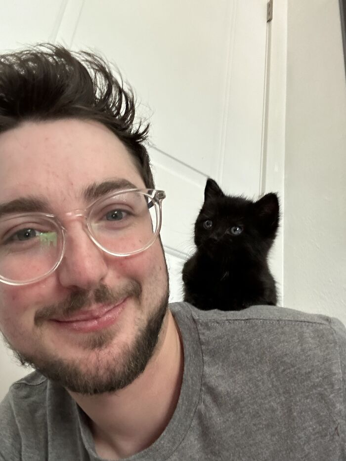 Young man smiling with a cute black kitten perched on his shoulder indoors, showcasing the cutest cats ever to melt your heart.