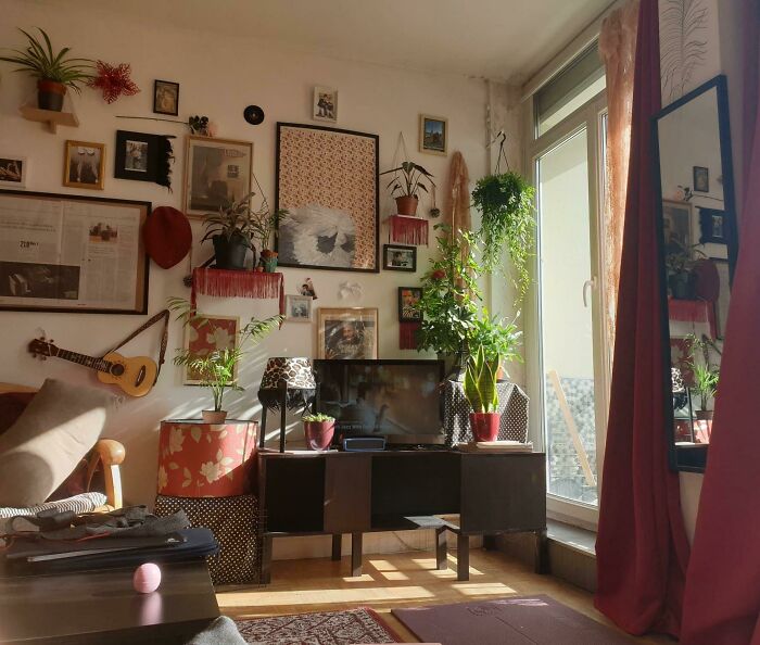 Posters and plants on the wall 