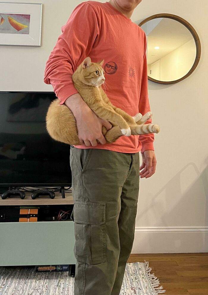 He Likes Being Carried Like An Orange Satchel