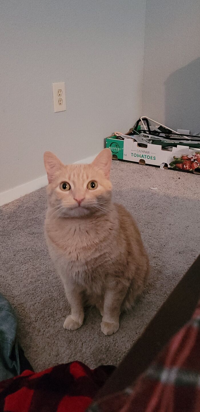 Thought Y'all Might Appreciate My Creature. Five Years And Still Not A Single Turn With The Brain Cell