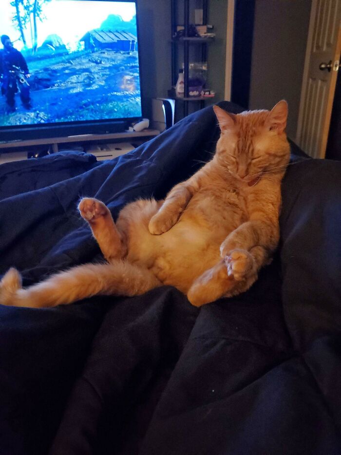 He Just Straight Up Passed Out Like This... He Didn't Move For Almost An Hour