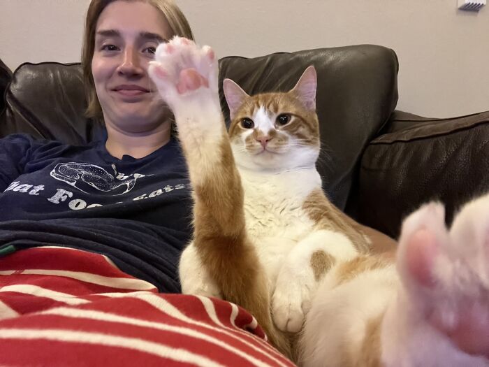This Is Kevin. He Regularly Sits Like This While We Watch TV