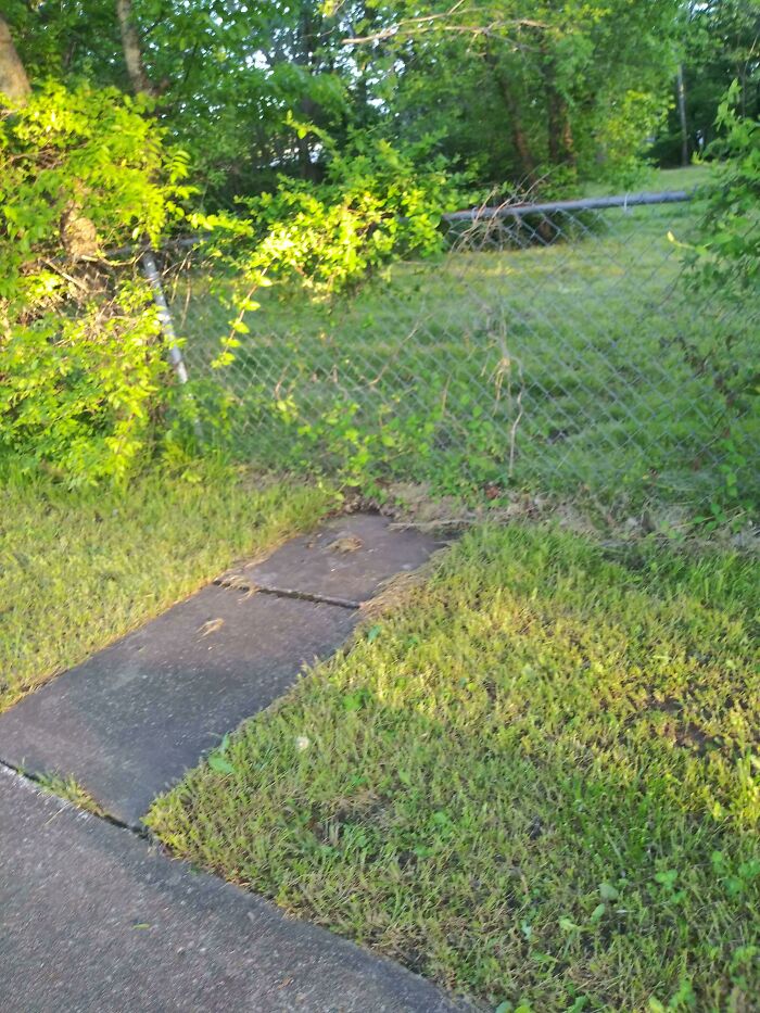 Ah Yes A Face Full Of Fence