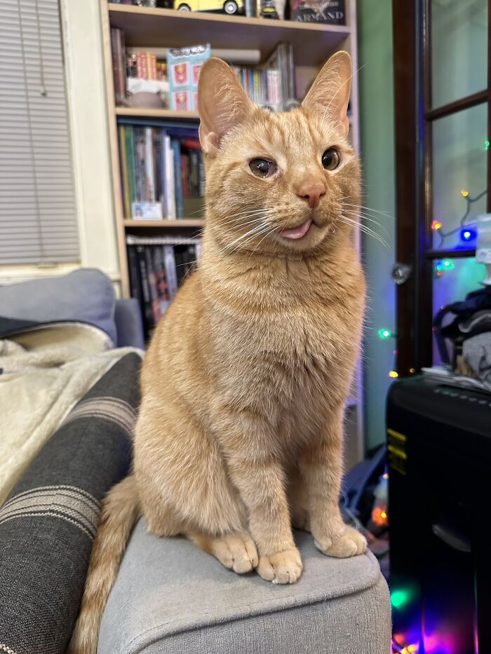 Nothing Going On In There. Not Even Elevator Music