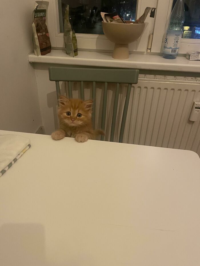 This Is Marx, He Is Here To Seize The Means Of Production