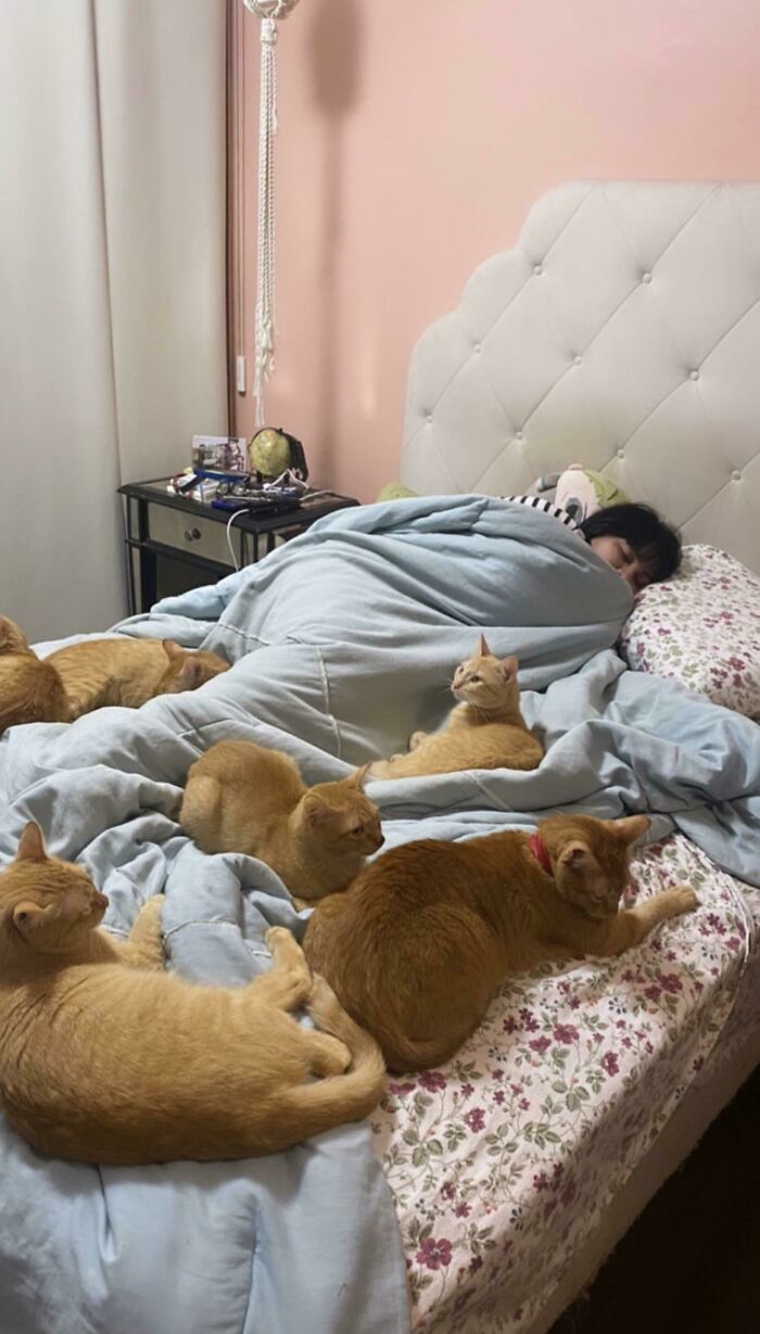 And There Is One Missing In The Photo