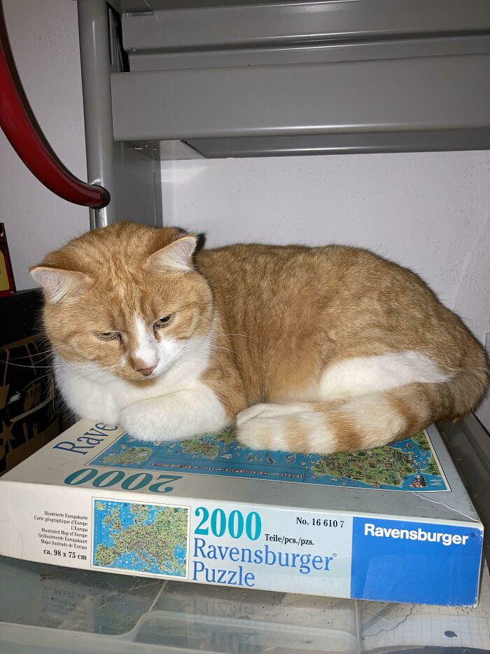 This Dumbfuck Decided Nye Was A Good Day To Stay Out Till 11:58 Pm. Spent All Evening Crying And Calling His Name; Party Ruined; And Then He Shows Up At The Door Like Nothing Happened