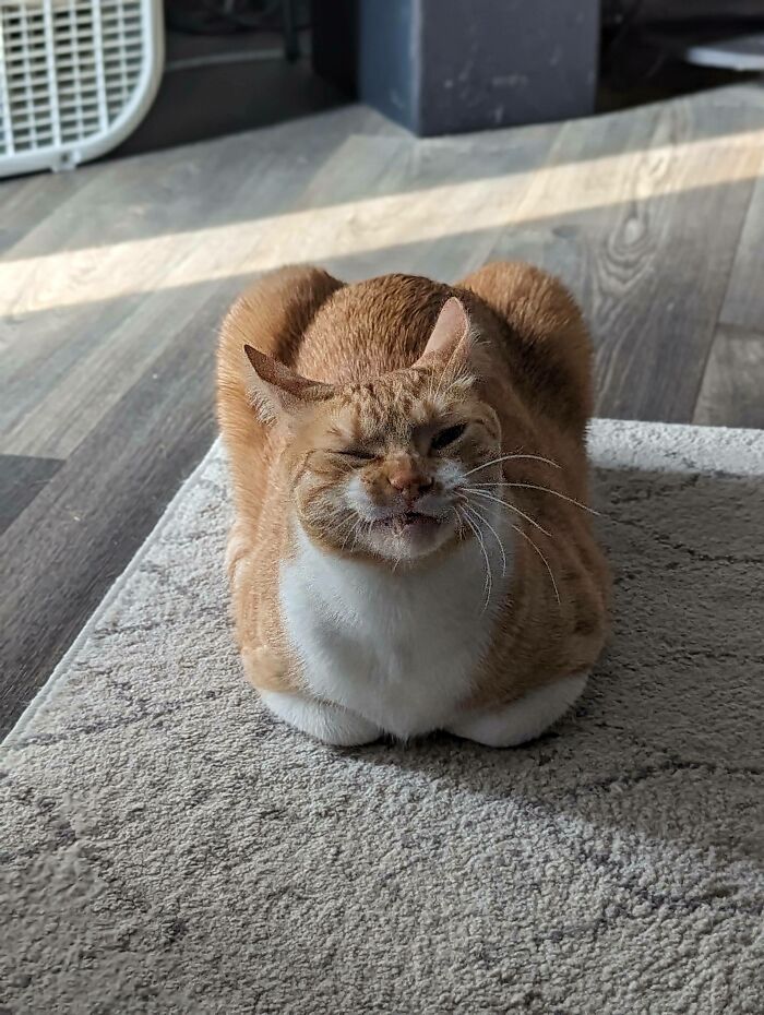 Today Is The Second Anniversary Of When We Brought Mack Home And He Still Hasn't Had His Turn Yet