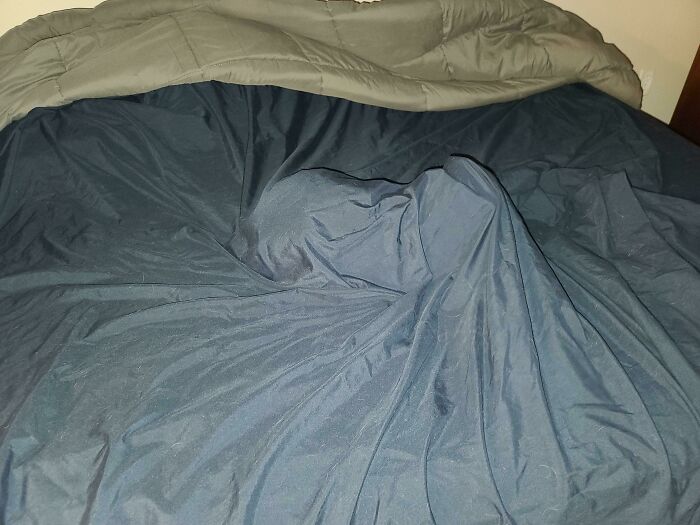 Trust Me... He's Orange