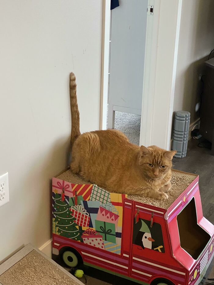 Does Raising The Antenna Improve Brain Cell Reception?