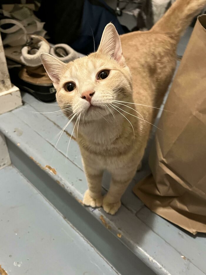 He Thinks I Have The Brain Cell