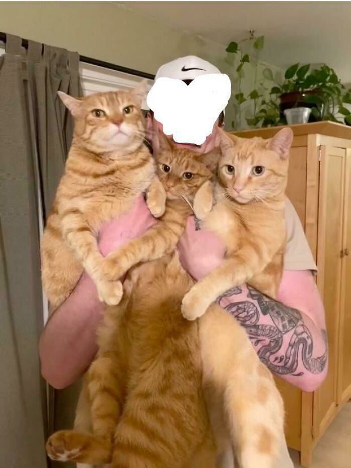 My Brothers Collection Of Oranges 🍊