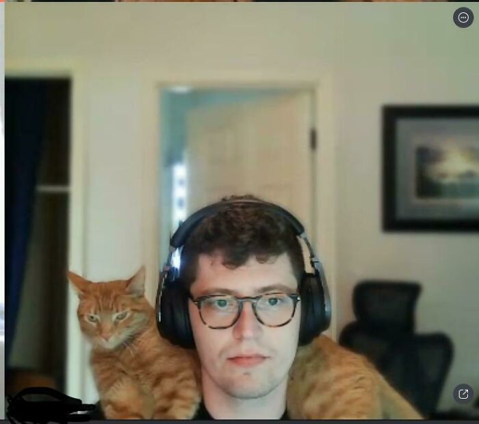 Coworker Sent Me This Screenshot Of George And I Equally Spaced Out In A Meeting