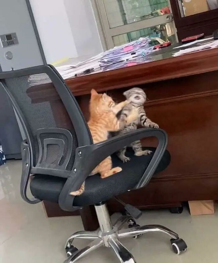 Not Mine But, Would Love To Share Orange's Activity In Workplace