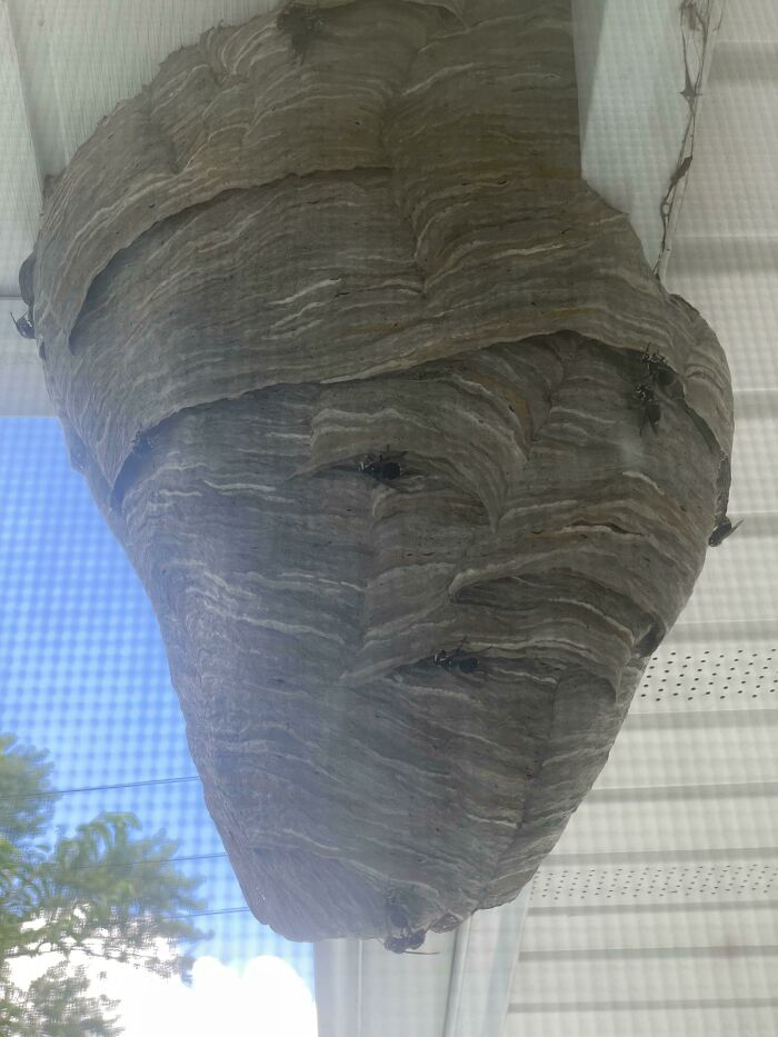 Came Home To This After 3-Month Vacation