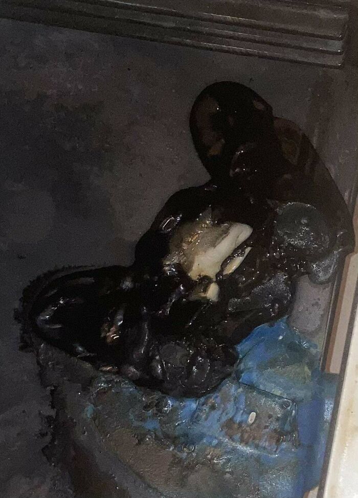 Smelled Gas In My House Open Oven Just To Find My Controller Extra Burned. Thanks Toddler