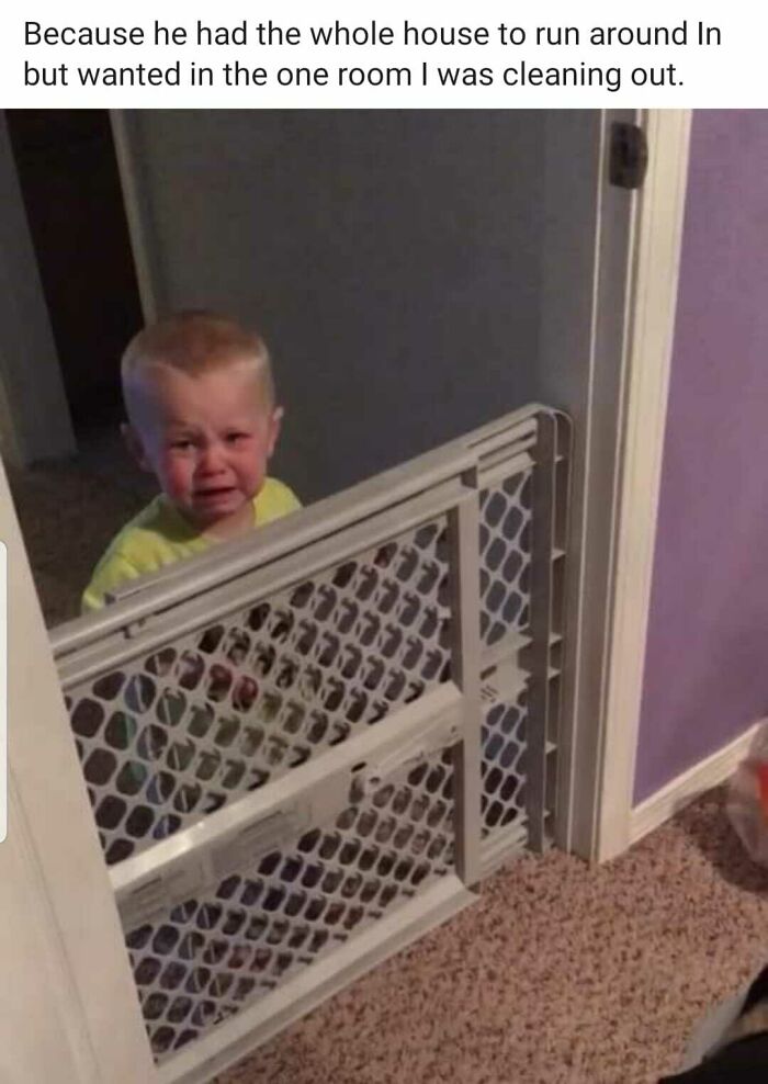 Why-My-Kid-Is-Crying-Funny-Posts