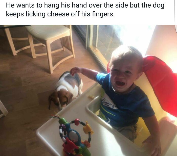 Why-My-Kid-Is-Crying-Funny-Posts