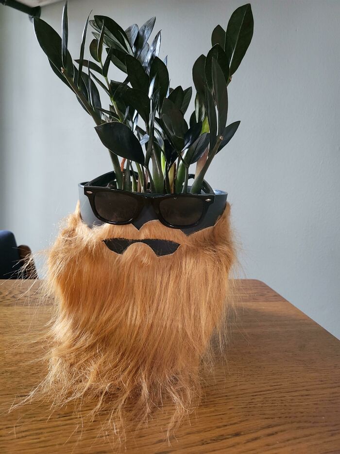 We Have Fun In This House