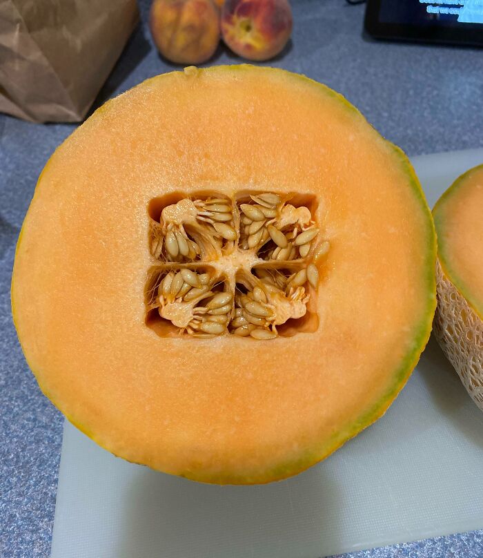 I Cut Into A Cantaloupe And The Inside Was Square
