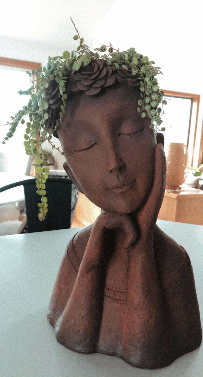 I Put My String Of Turtles In The New Pot I Got. I Think It’s A Great Fit