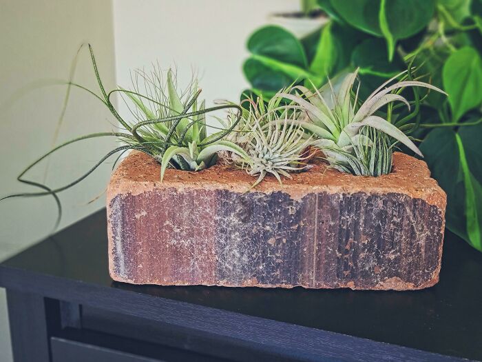 My Husband And I Met As 15 Year Old Sophomores In Our High-School That Is Now Being Torn Down. A Few Summers Ago While I Was Visiting Our Hometown, I Snuck Out One Of The Discarded Bricks From The Construction Site. This Brick Is 112 Years Old