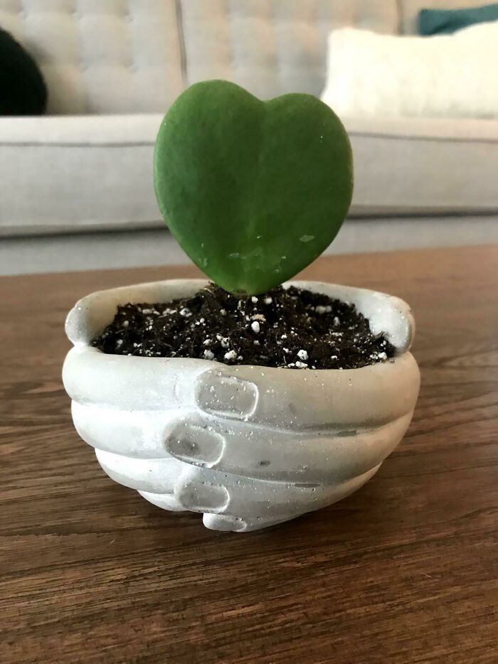 Perfect Match. Loved This Combo So Much, I Had To Make My First Reddit Post