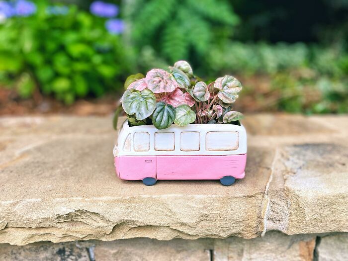 Loving This Combo. 💕