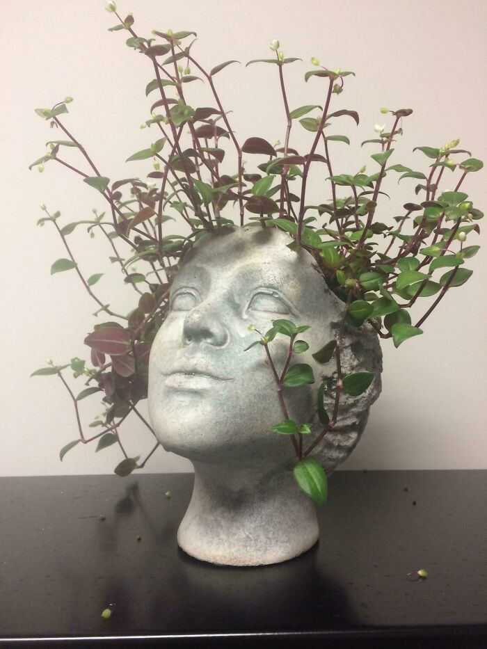 Just Found This Sub And Wanted To Share My Yankee Swap Score!