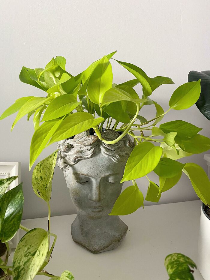 Finally Scored This Pot I’ve Been Eyeing For Some Time