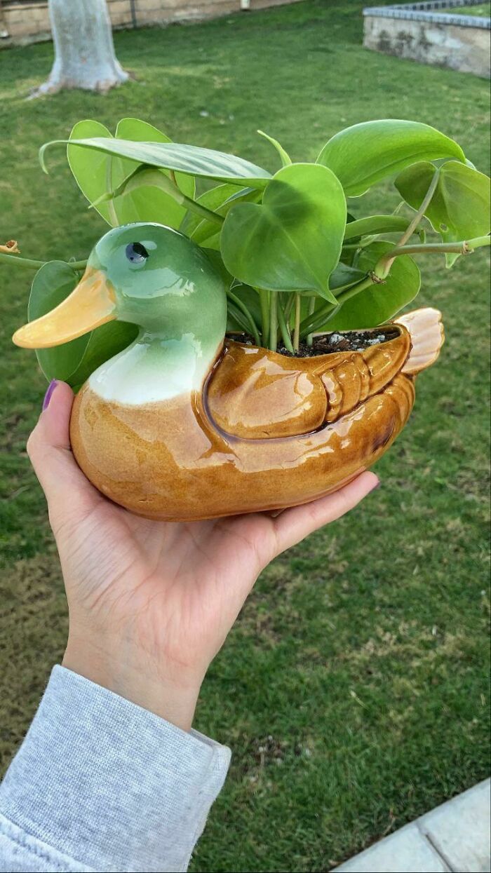 Vintage Duck Pot Vintage Duck Pot Vintage Duck Pot Vintage Duck Pot 🥺