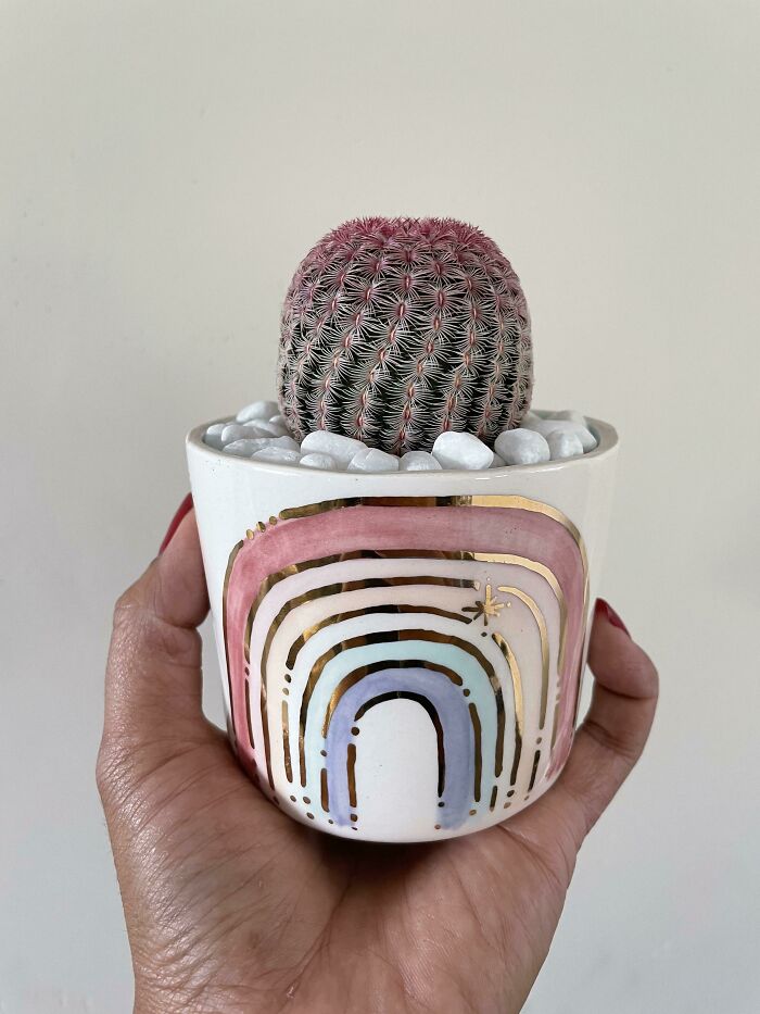 Love My Rainbow Cactus In My Rainbow Pot 🌈