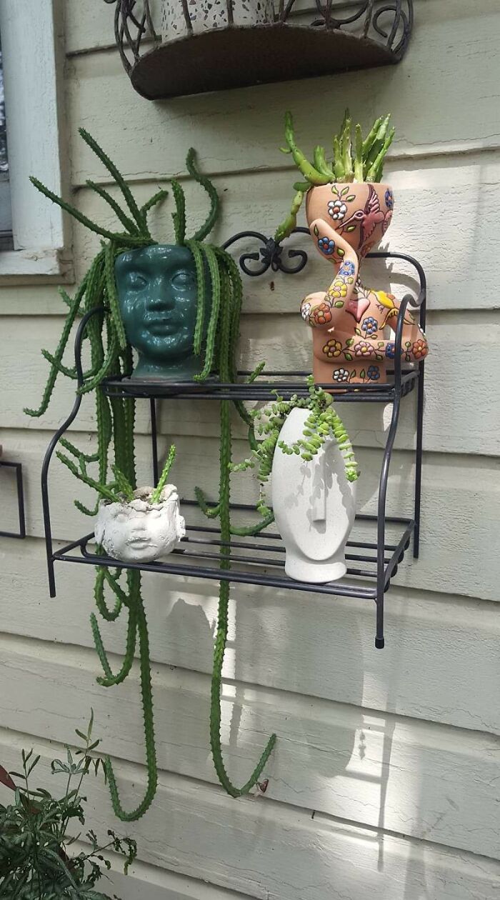 Some Of My Pot Heads