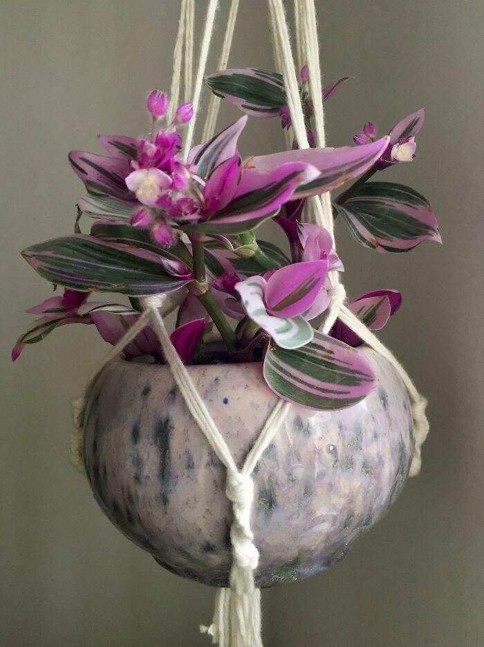 I’m Loving This Combo!