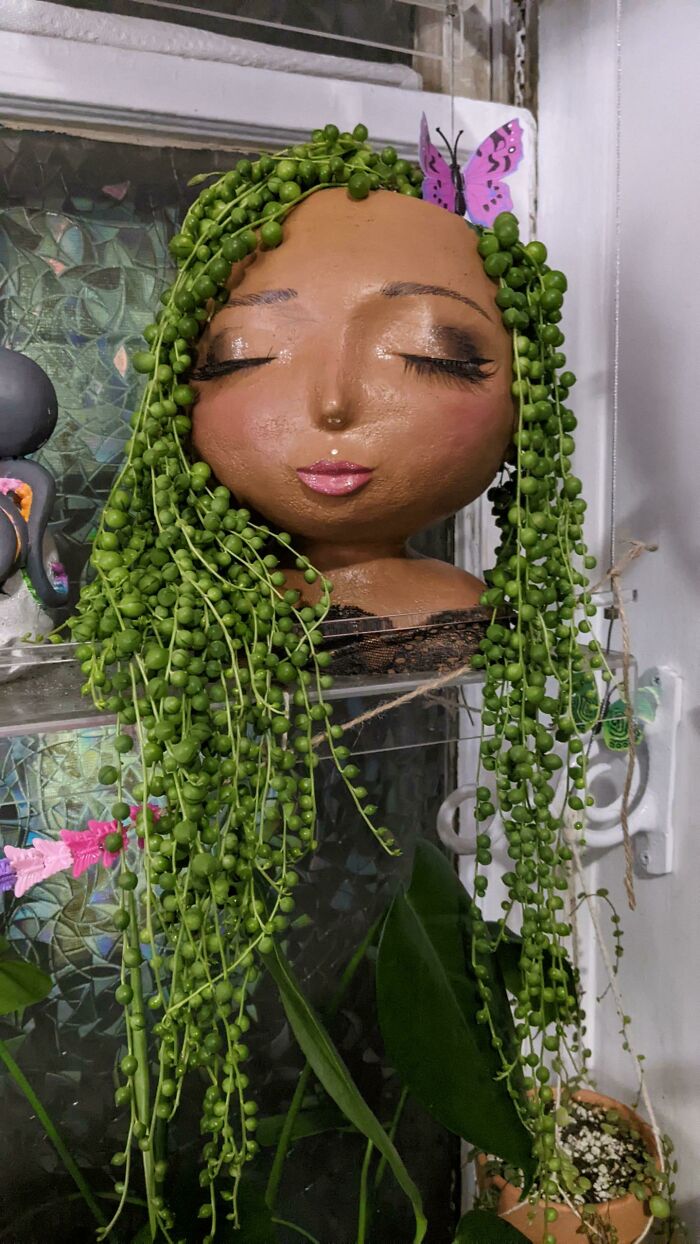 I've Had This Pot For Months And Finally Found Her The Perfect Hair!