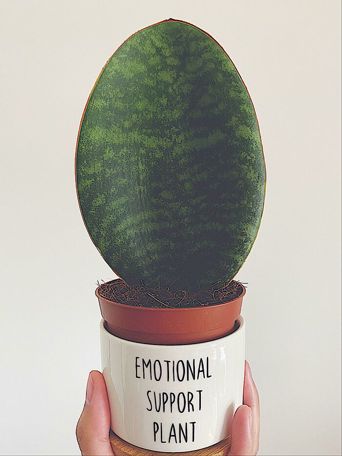 Can’t Stop Smiling Every Time I Look At My New Perfect Little Whale Fin, So I Put It In This Pot. ☺️