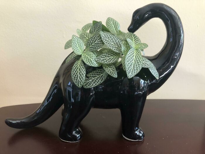 One Of My Favorite Pairings