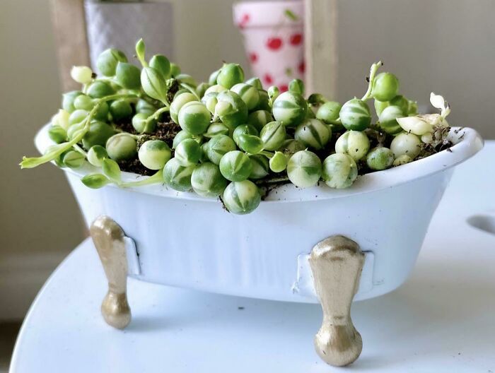 Can I Interest You In A Bubble Bath?