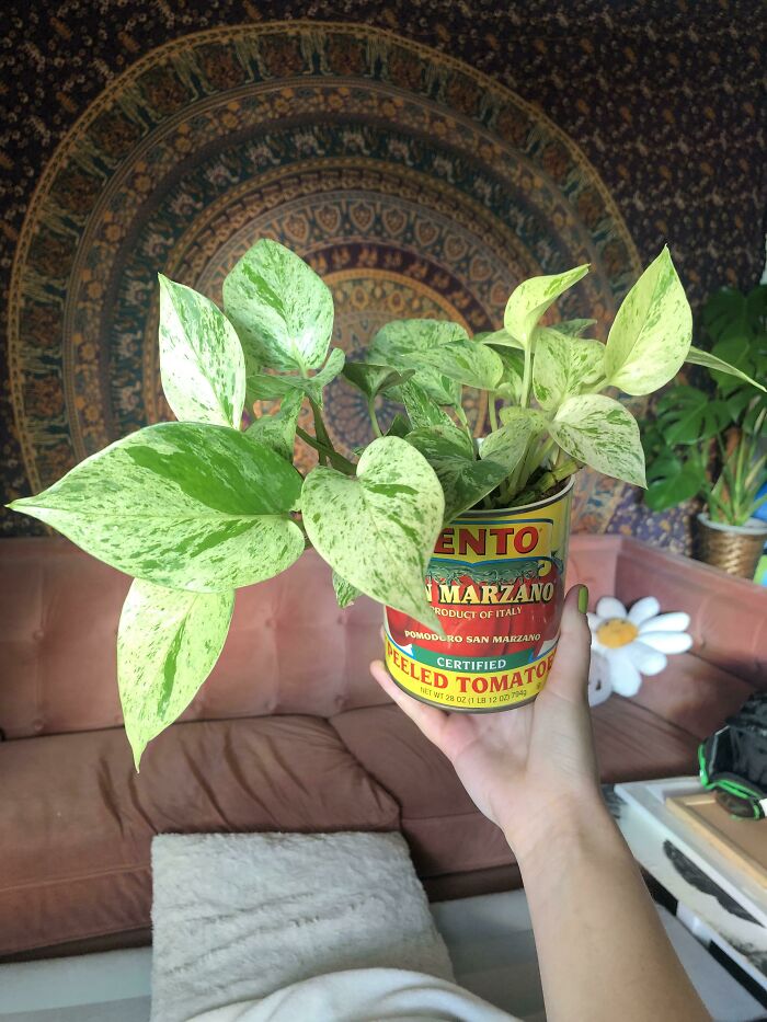 I Thought These Two Looked Perfect Together!