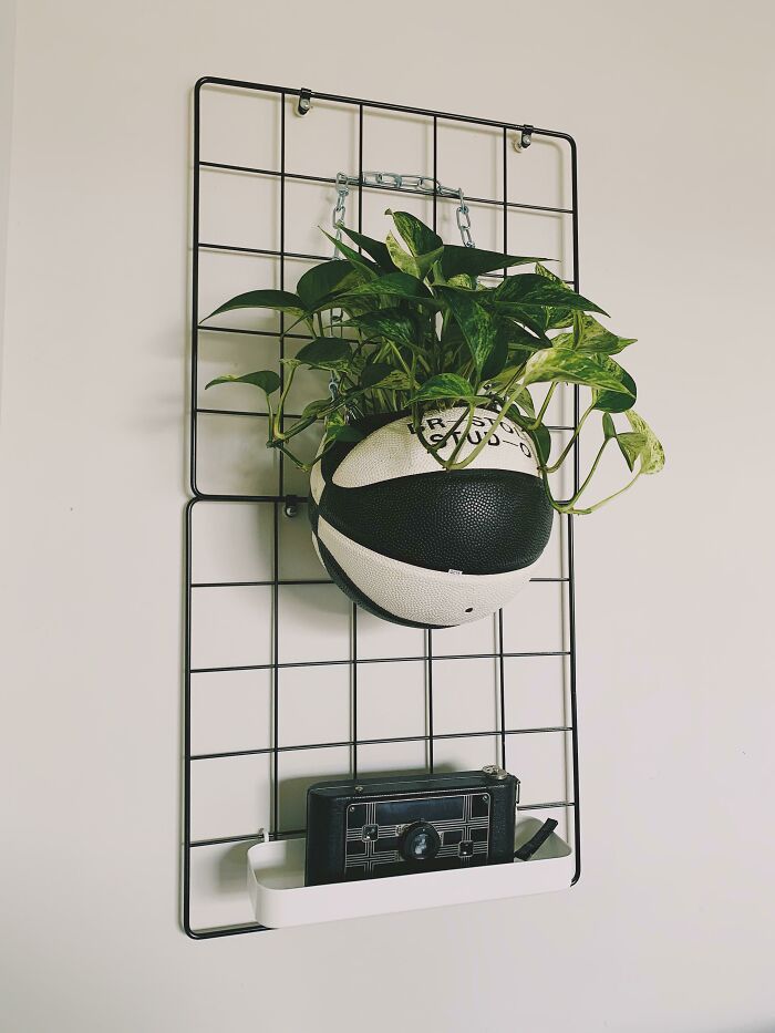 Turned An Old Basketball Into A Pot