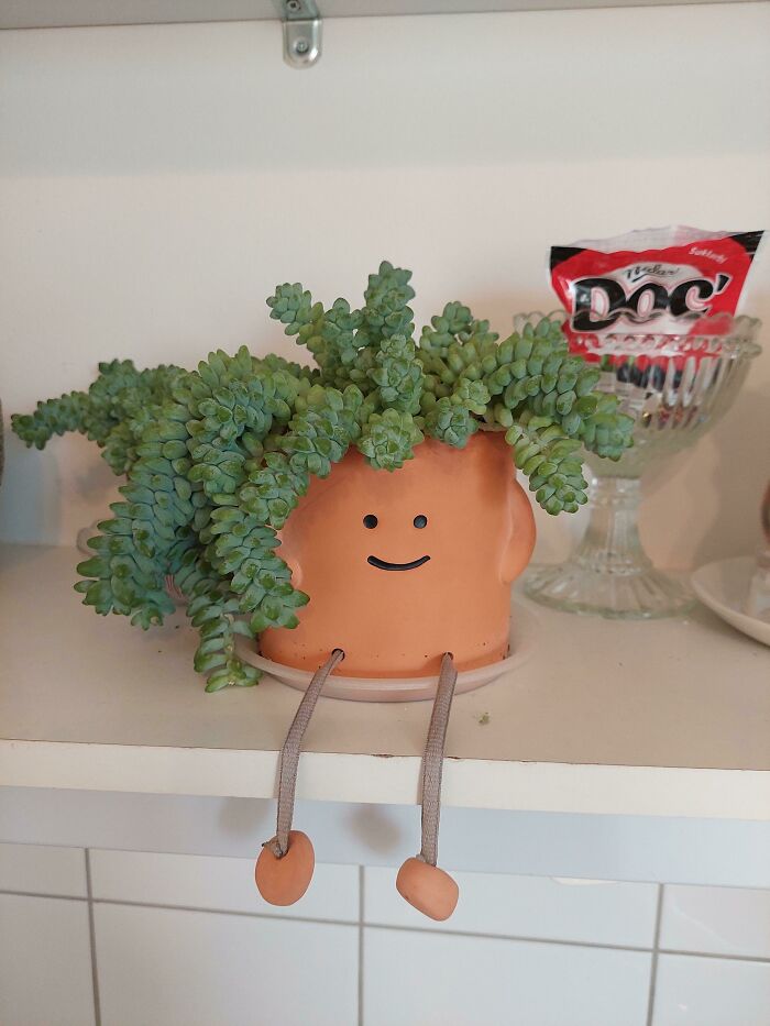 My Friends. He Doesn't Like To Have His Hair Touched So I Shake His Cute Little Legs Instead