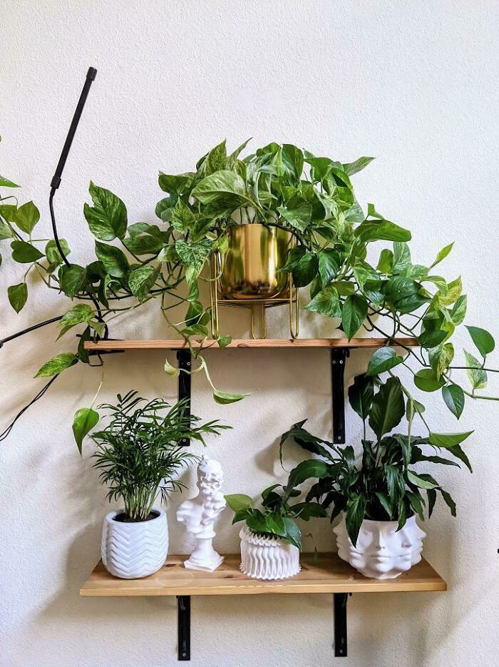 Really Loving How This Shelf Came Together