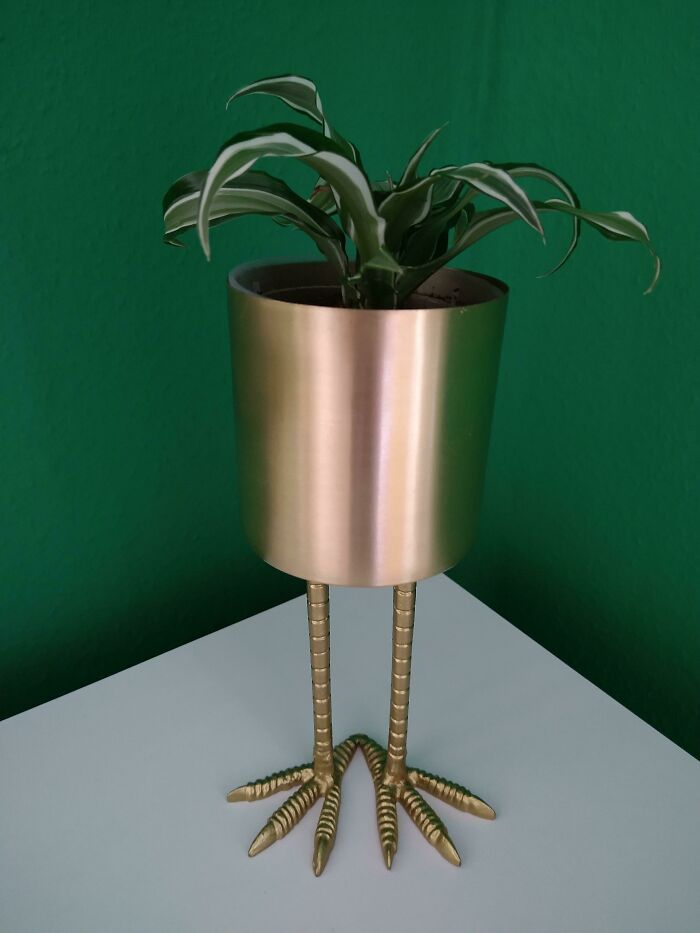 This Room Needed Some More Green Vibes 🦩